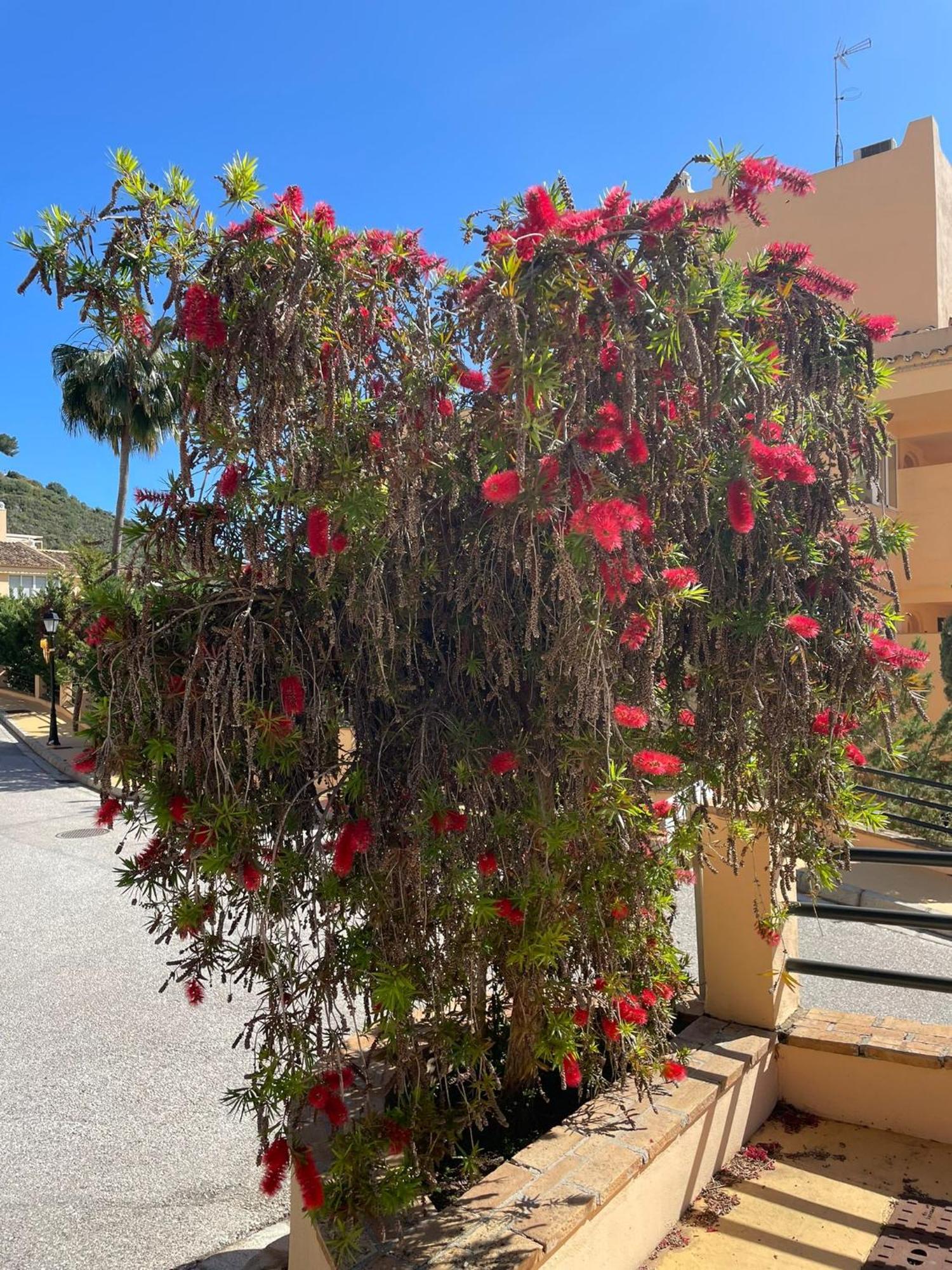 Santa Maria Village, Elviria, ماربيا المظهر الخارجي الصورة